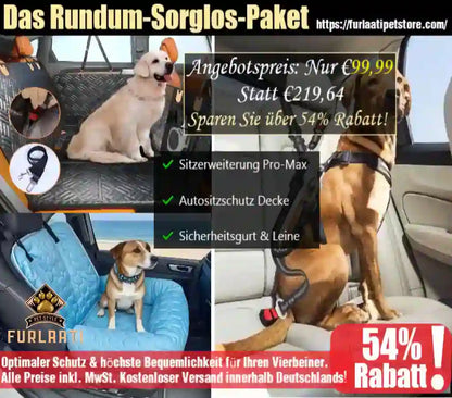 Pet safety package with car seat covers, harnesses, and a dog on a blue cushion in a car.