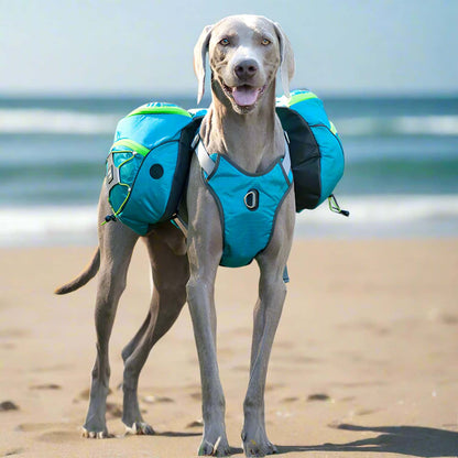 Abnehmbarer Hunde-Trekkingrucksack