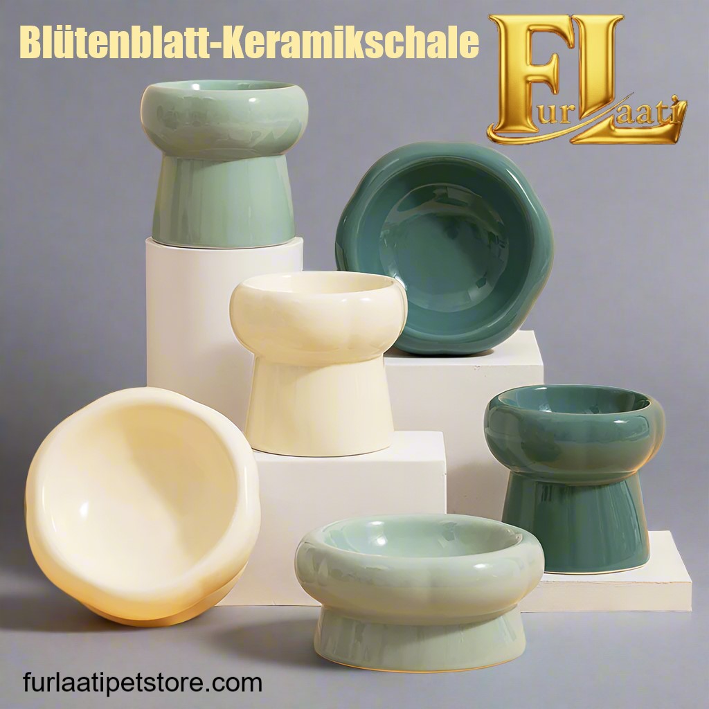 Erhöhter Keramik-Napf für gesunde Katzen