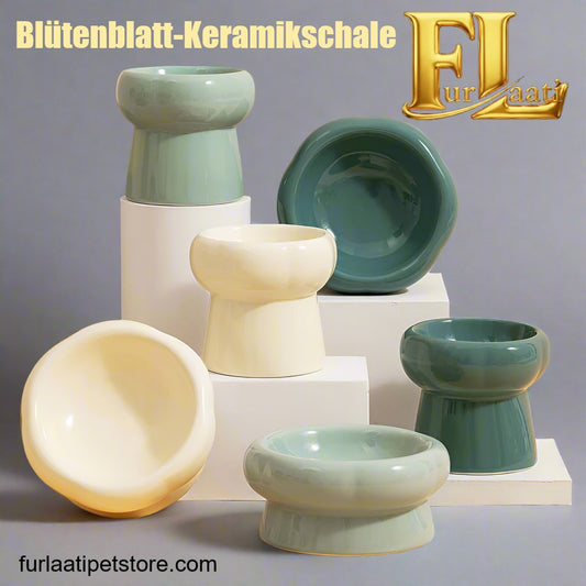 Erhöhter Keramik-Napf für gesunde Katzen