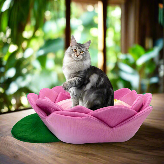 Lotus-Katzenbett aus Plüsch Von FurLaati