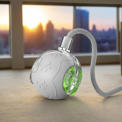 Automatischer interaktiver Spielball für Haustiere Von FurLaati