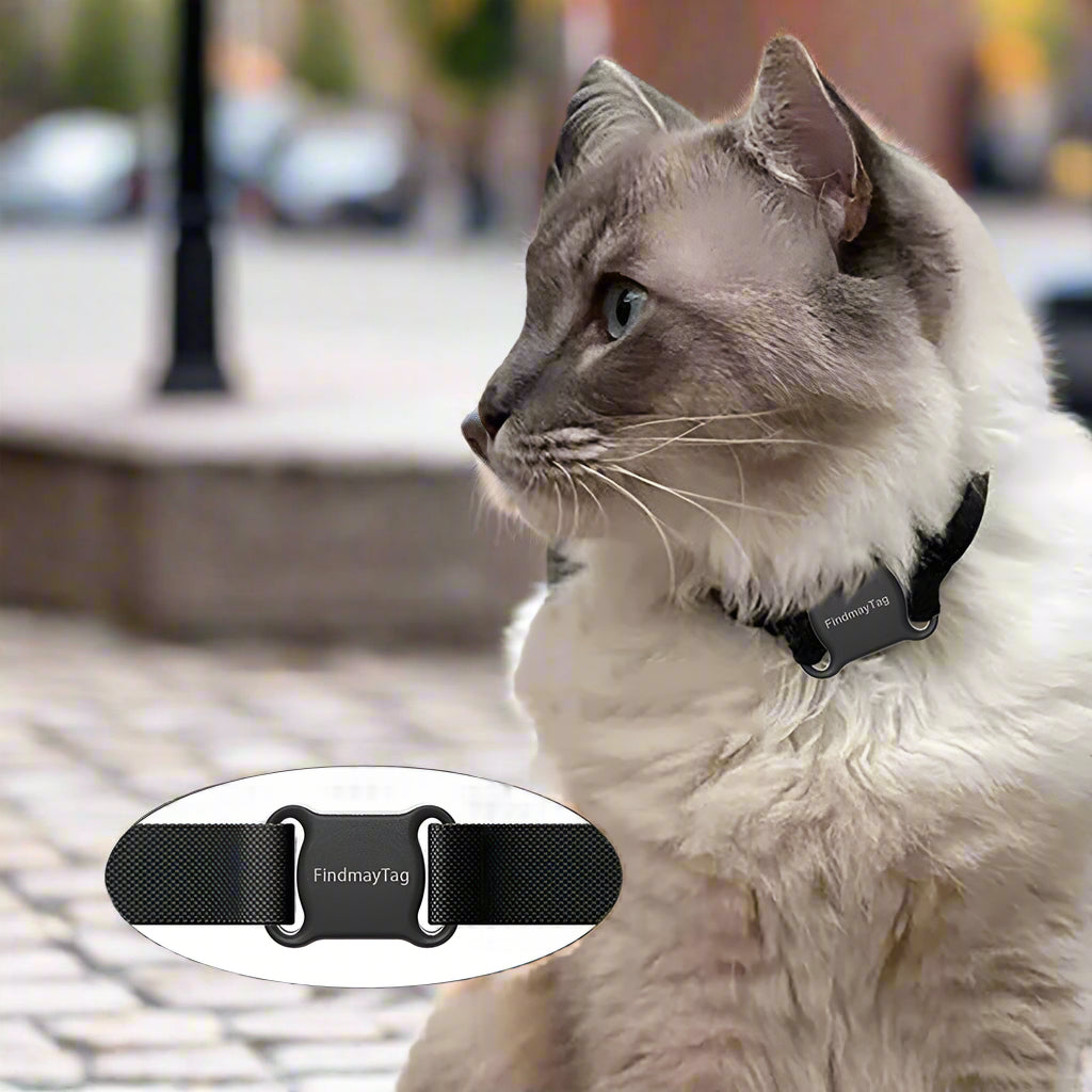 GPS-Locator "FindmayTag" | Präzise Echtzeitortung für Katzen & Hunde