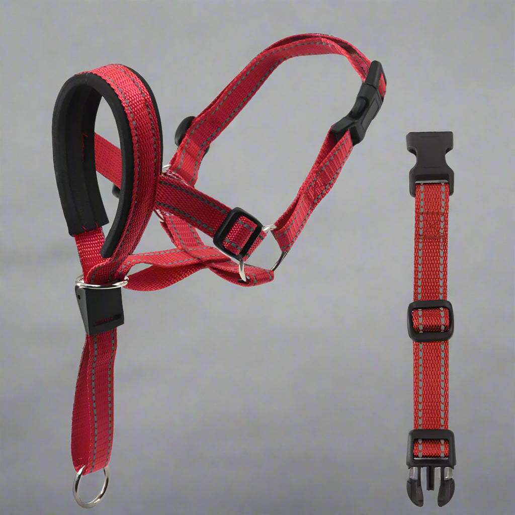 Komfortabler Nylon-Maulkorb für Hunde. von FurLaati!