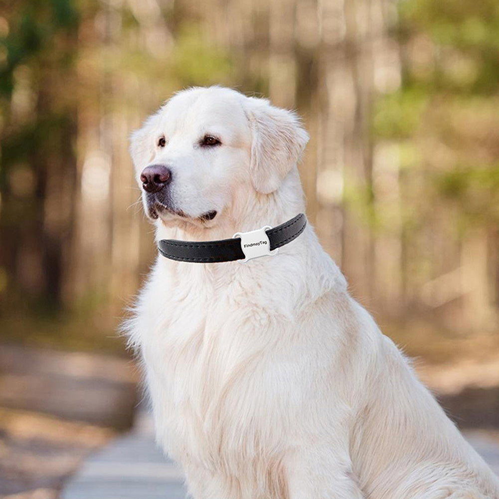 GPS-Locator "FindmayTag" | Präzise Echtzeitortung für Katzen & Hunde