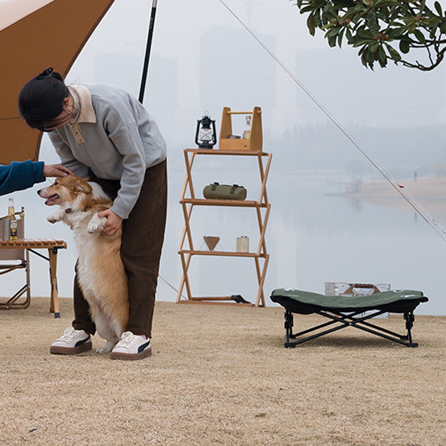 Robustes, Faltbares Hunde-Reisebett (Outdoor & Abnehmbar)