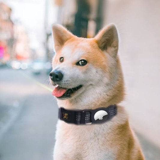 Schutz-Halsband mit GPS-Tracker-Halterung | Für Hunde & Katzen