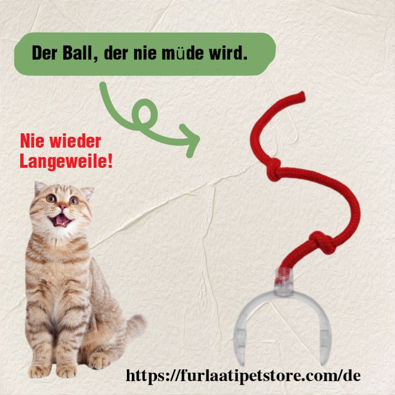 Automatischer interaktiver Spielball für Haustiere Von FurLaati