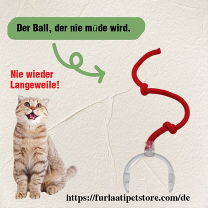 Automatischer interaktiver Spielball für Haustiere Von FurLaati