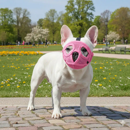 White dog wearing a pink muzzle in a park setting