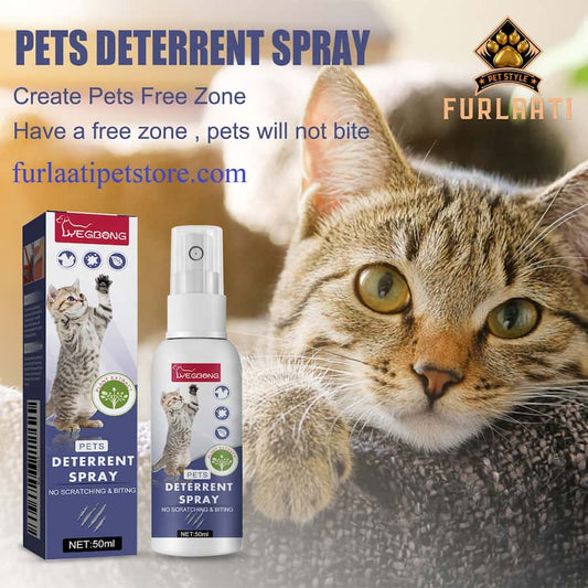 Anti-Kratz Spray: Möbel- & Heimschutz von FurLaati