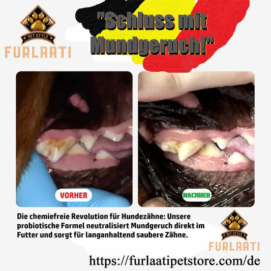 Probiotisches Zahnpflegepulver Dental-Pulver ARMOYA für Hunde & Katzen (100g) Von FurLaati